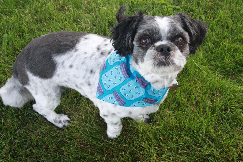 Blue Or Pink Branch Manager Dog Bandana No Tie Bandana Over the Collar Bandana image 9