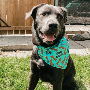 Blue Or Pink Branch Manager Dog Bandana No Tie Bandana Over the Collar Bandana image 8