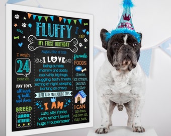 dogs 1st birthday party