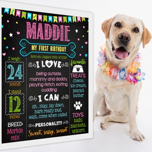 Printable Dog Birthday chalkboard sign - 1st party chalk board poster banner milestone editable template supplies favors (893)