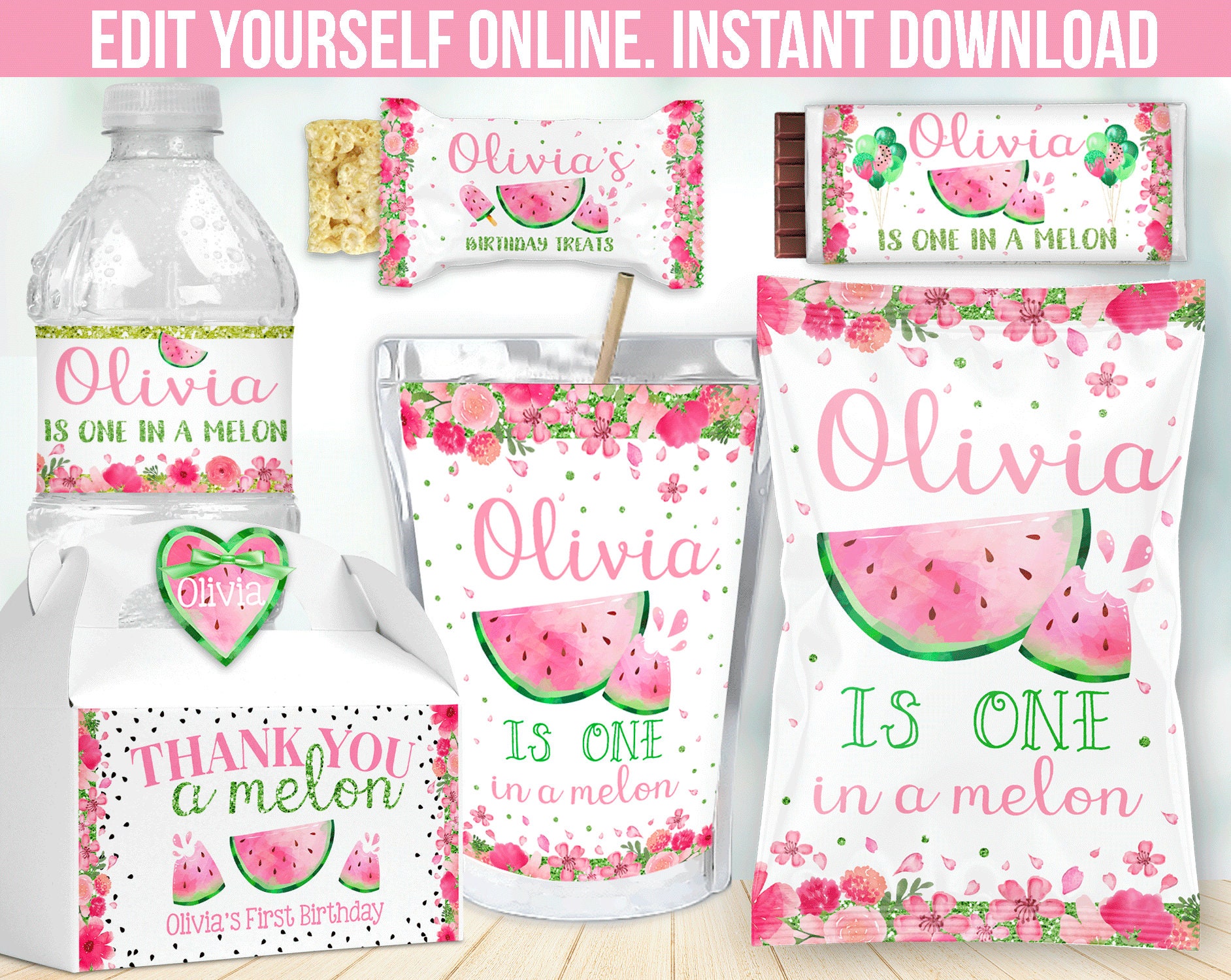 Watermelon Birthday Decoration One in a melon party favor | Etsy