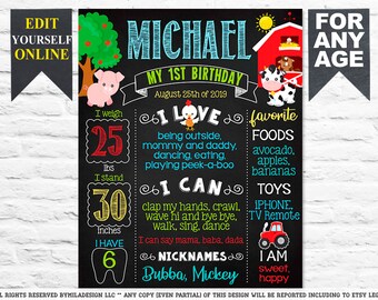 Farm Birthday chalkboard sign poster milestone chalk board - First 1st instant template (595)