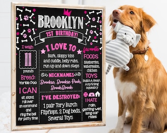 May include: A black chalkboard sign with pink and white paw prints and bones. The sign says "Brooklyn 1st Birthday!" and includes information about the dog's weight, breed, nicknames, favorite foods, toys, and things they've destroyed. A brown and white dog is holding a gray and white striped toy in its mouth.