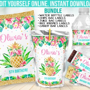 Pineapple Party Decor - Hawaiian Summer Beach Birthday favors, decorations, supplies - Instant Download Template for Chip bags label B66