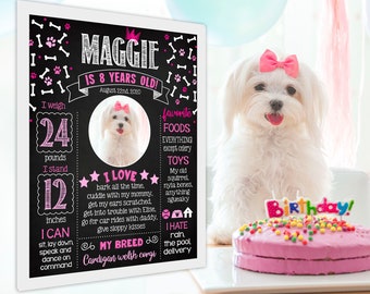 Puede incluir: Un perro blanco con un lazo rosa en la cabeza está sentado frente a un letrero de pizarra rosa y negro que dice "Maggie tiene 8 años!" El letrero indica que el perro pesa 24 libras, mide 12 pulgadas de alto y enumera sus alimentos y juguetes favoritos. El perro está mirando un pastel de cumpleaños rosa con chispas de colores y una vela de "¡Feliz cumpleaños!"