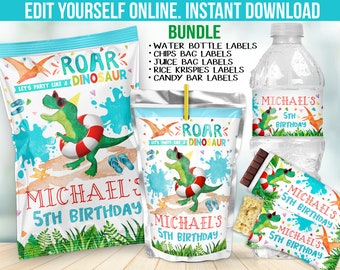 Dinosaur Birthday pool party decorations - Dino theme Chip bag favors - Beach theme supplies decor for Water bottle lable sticker B67