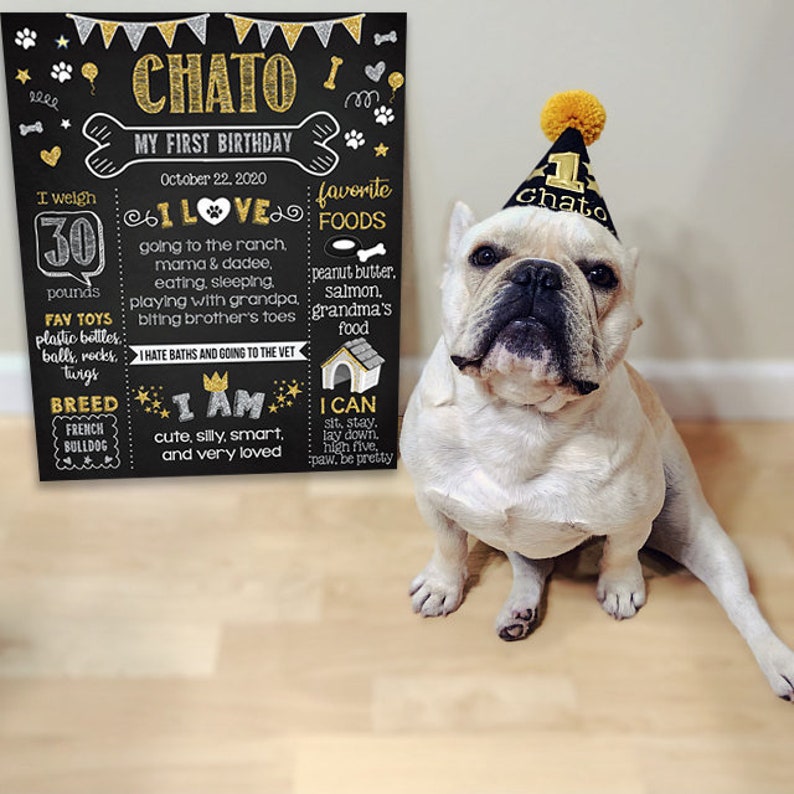 Editable Dog Birthday Chalkboard Sign Instant Download Etsy