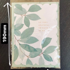 Biodegradable Clear Cellulose Bags - Multiple Sizes Available - Etsy ...