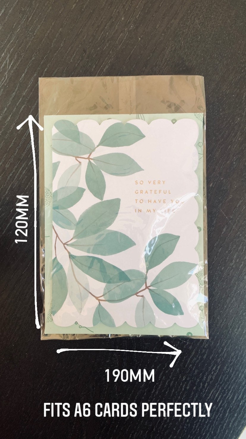 Biodegradable Clear Cellulose Bags Multiple Sizes Available - Etsy ...