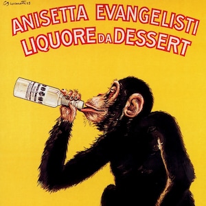 Monkey Drinking Drink Anisetta Evangelisti Liquor Dessert Italy Itlia Italian Bar Restaurant Vintage Poster Repro Free Shipping in USA