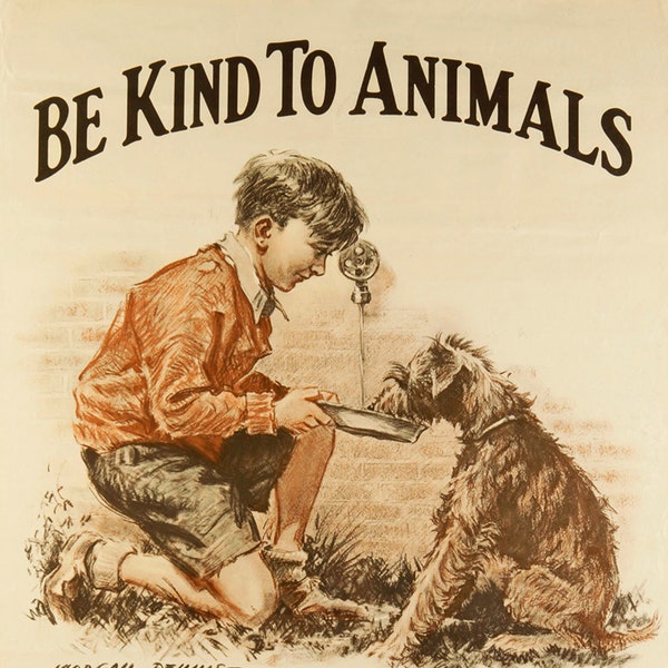 Animal Boy Dog Be Kind to Animals Humane Society American Vintage Poster Repro on Matte Paper or Canvas FREE S/H in USA Shipped Rolled UP