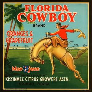 Florida Cowboy Oranges Grapefruit Juice USA Farm Horse Fruit Crate Label American United States Vintage Poster Repro Free Shipping in USA