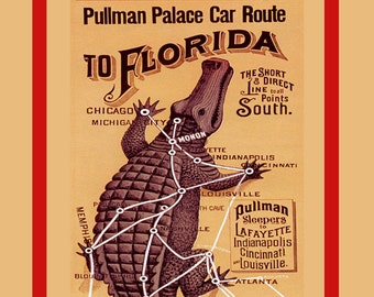 Alligator poster | Etsy