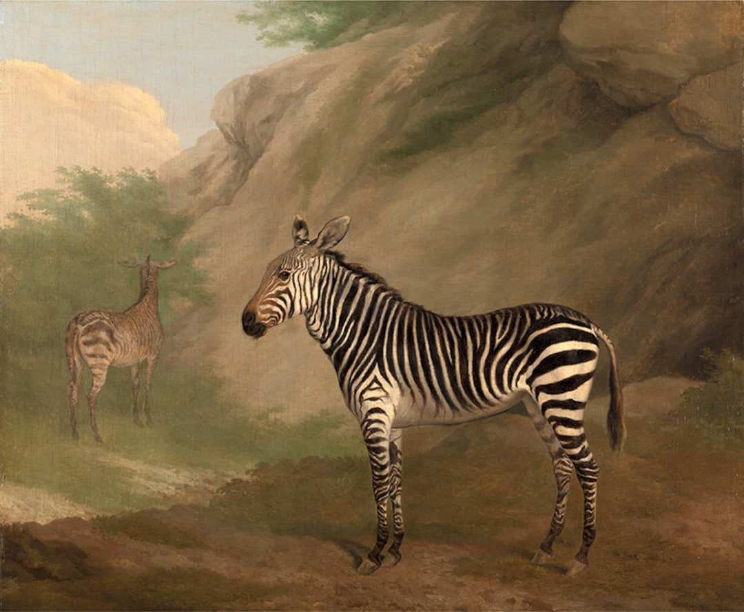 Jacques Laurent Agasse Zebra Amazing Quality Repro on Matte Paper