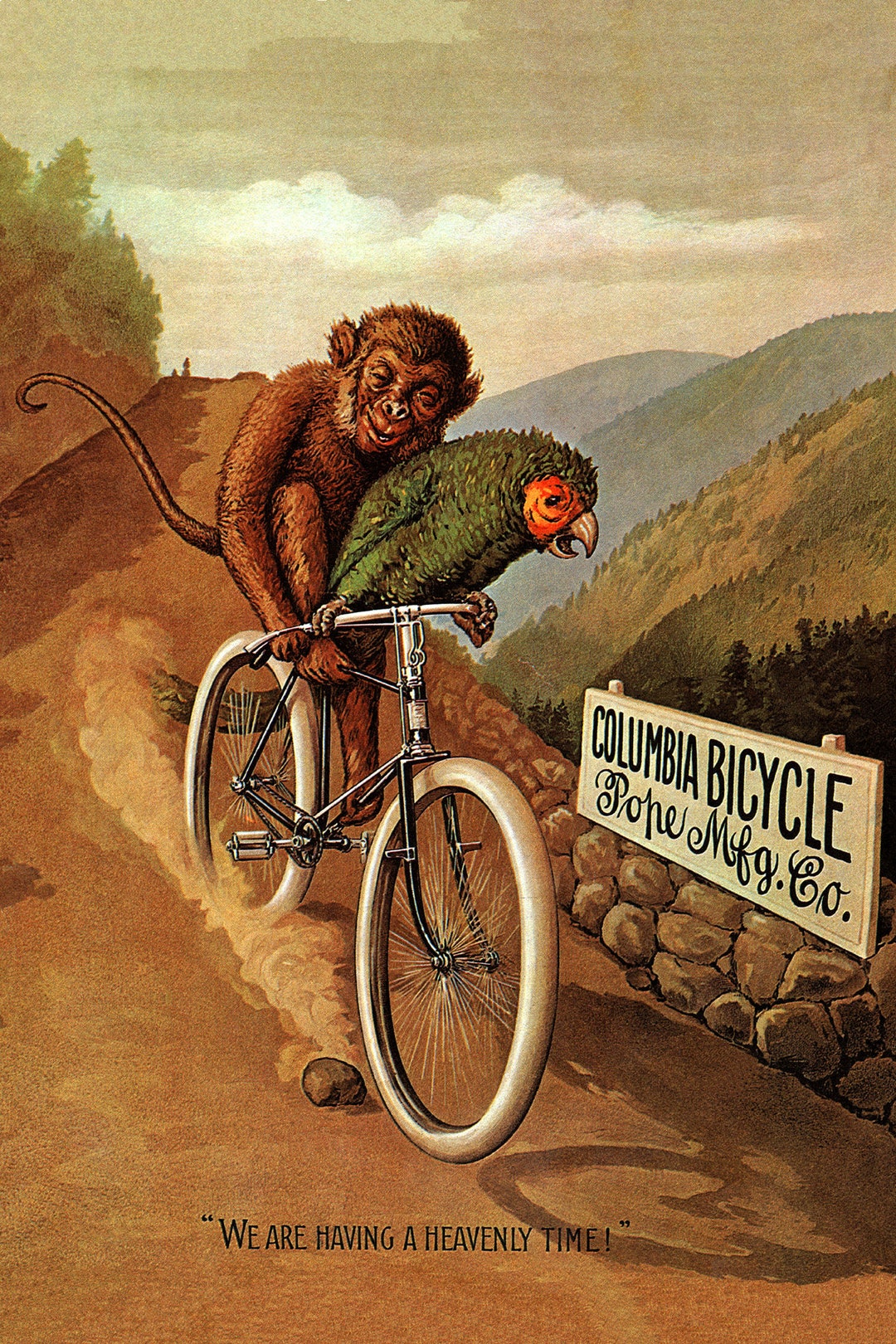 Poster Columbia Bicycle Cycle Monkey Parrot Having a Heavenly Time