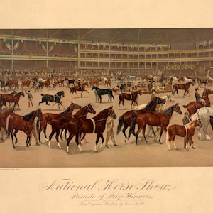 Horse Show Madison Square Garden New York City American Equestrian Sport Vintage Poster Repro on Matte Paper Free SHIPPING in USA