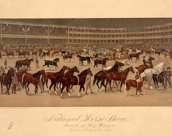Horse Show Madison Square Garden New York City American Equestrian Sport Vintage Poster Repro on Matte Paper Free SHIPPING in USA