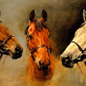 We Three Kings Arkle Rum Desert Orchid Races Horses Head and Neck Painting By Susan Crawford Repro on Matte Paper or Canvas FREE S/H in USA