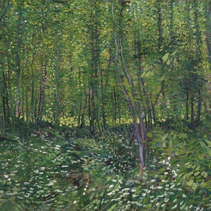 Vincent Van Gogh Trees and Undergrowth France French Amazing Quality Repro on Matte Paper or Canvas FREE SHIPPING in USA