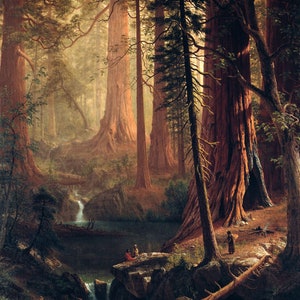 Giant Redwood Trees of California Indians American Landscape 1874 Painting By Albert Bierstadt Repro Matte Paper or Canvas FREE S/H in USA