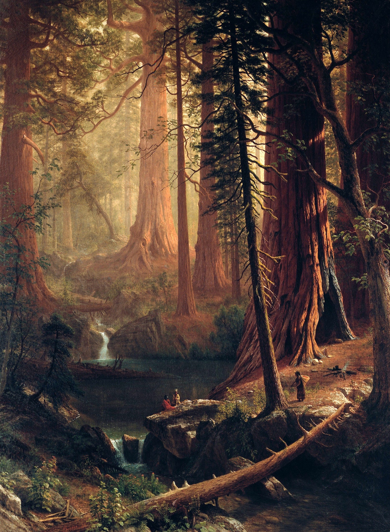 Giant Redwood Trees of California Indians American Landscape 1874