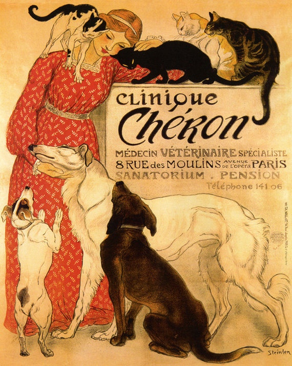 Vet Veterinarian Clinic Ad Cheron Lady Cats Dogs 16/"X20/" Vintage Poster FREE SH