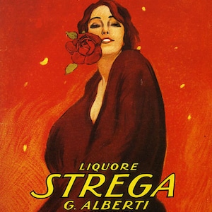 Bar Strega Fashion Lady Rose in Mouth Liquor Drink Italy Italian Drink Vintage Poster Repro on Matte Paper or Canvas FREE SHIPPING in USA