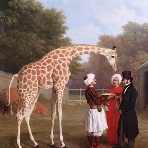 Jacques Laurent Agasse Nubian Giraffe Amazing Quality Repro on Matte Paper or Canvas FREE SHIPPING in USA
