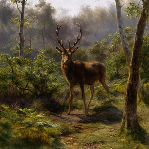 A Stag Male Deer In The Woods Wildlife Animal 1893 Painting By Rosa Bonheur Repro on Matte Paper or Canvas FREE SHIPPING in USA
