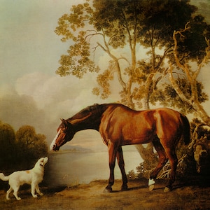 Bay Horse and White Dog Friends Animal Landscape Lake Peinture par George Stubbs Repro sur papier mat ou toile LIVRAISON GRATUITE aux Etats-Unis