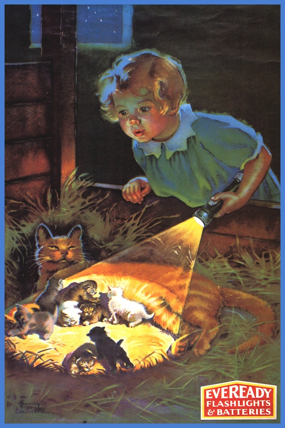 Little Girl Cats Cat Finding Kitten Eveready Flashlight and