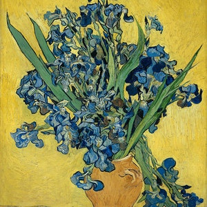 Vincent Van Gogh Irises Flowers Vase Amazing Quality Repro on Matte Paper or Canvas FREE SHIPPING in USA Shipped Rolled Up