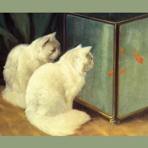 Cat White Cats Watching Red Fish in Aquarium Fine Art Poster Repro on Matte Paper or Canvas FREE SHIPPING in USA