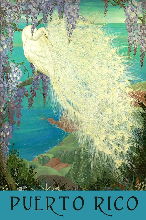 Puerto Rico White Peacock Bird Beaches Ocean View Travel Tourism Vintage Poster Repro on Matte Paper or Canvas Free SHIPPING in USA