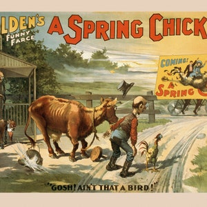 A Spring Chicken Cow Farm Dog Bicycle Ain&#39;t That a Bird Vintage Poster Repro on Matte Paper or Canvas FREE SHIPPING in Usa Shipped Rolled UP