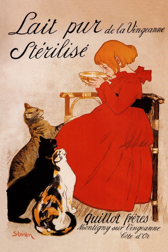 【値下げ】洋書 The FRENCH CAT　初版　希少品　写真集　猫　フランス The French Cat: Photographs: Hale McKenna, Rachael: 9781584799504