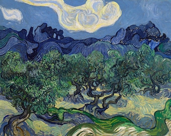 Vincent Van Gogh The Olive Trees France French Amazing Quality Repro on Matte Paper or Canvas FREE SHIPPING in USA Shipped Rolled Up