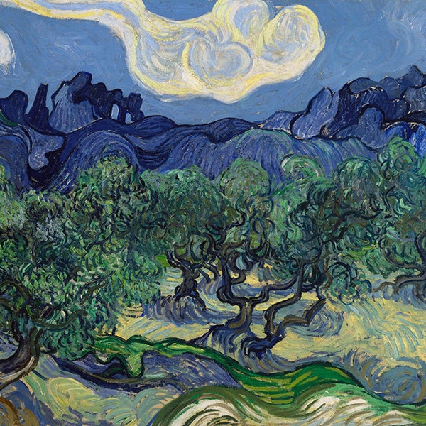 Vincent Van Gogh The Olive Trees France French Amazing Quality Repro on Matte Paper or Canvas FREE SHIPPING in USA Shipped Rolled Up