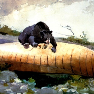 Bear And Canoe Animal Wilderness 1895 American United States Painting By Winslow Homer on Matte Paper or Canvas FREE SHIPPING in USA