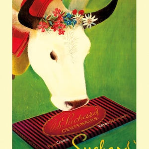 May include: A white cow with a red and white scarf and a flower crown is sniffing a box of chocolate. The box is red and black with white stripes and the text "Suchard Centenaire Pure Creme Rahm Schokolade" on it.