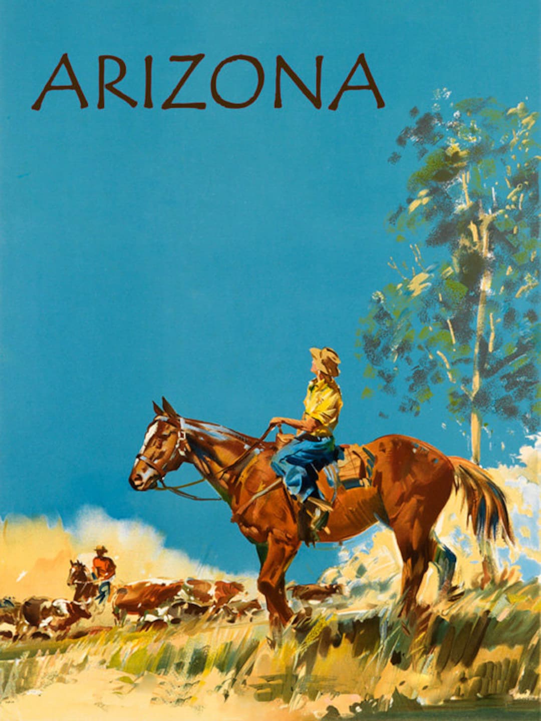 Arizona Cowgirl Horse Farm Cattle West Landscape Usa Travel