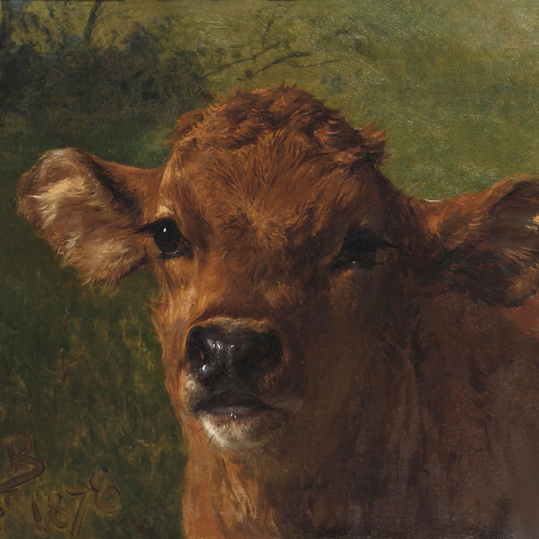 Head of a Calf Young Cow Bull Farm Bovine Animal Painting by Artist Rosa Bonheur Repro on matte paper or canvas FREE SHIPPING in USA