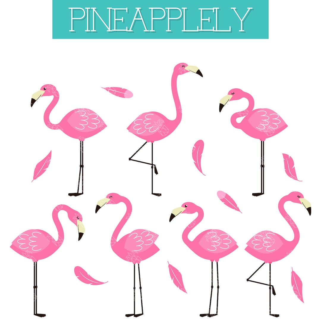 Pretty Flamingo Set, Tropical Bird, Pink Bird Digital Clip Art for ...