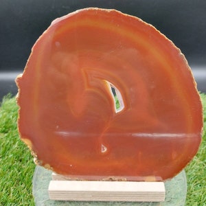 Op de afbeelding: Een grote, oranje agaatplakje met een natuurlijk, swirlend patroon. De agaat staat op een houten standaard en heeft een heldere, gepolijste afwerking.