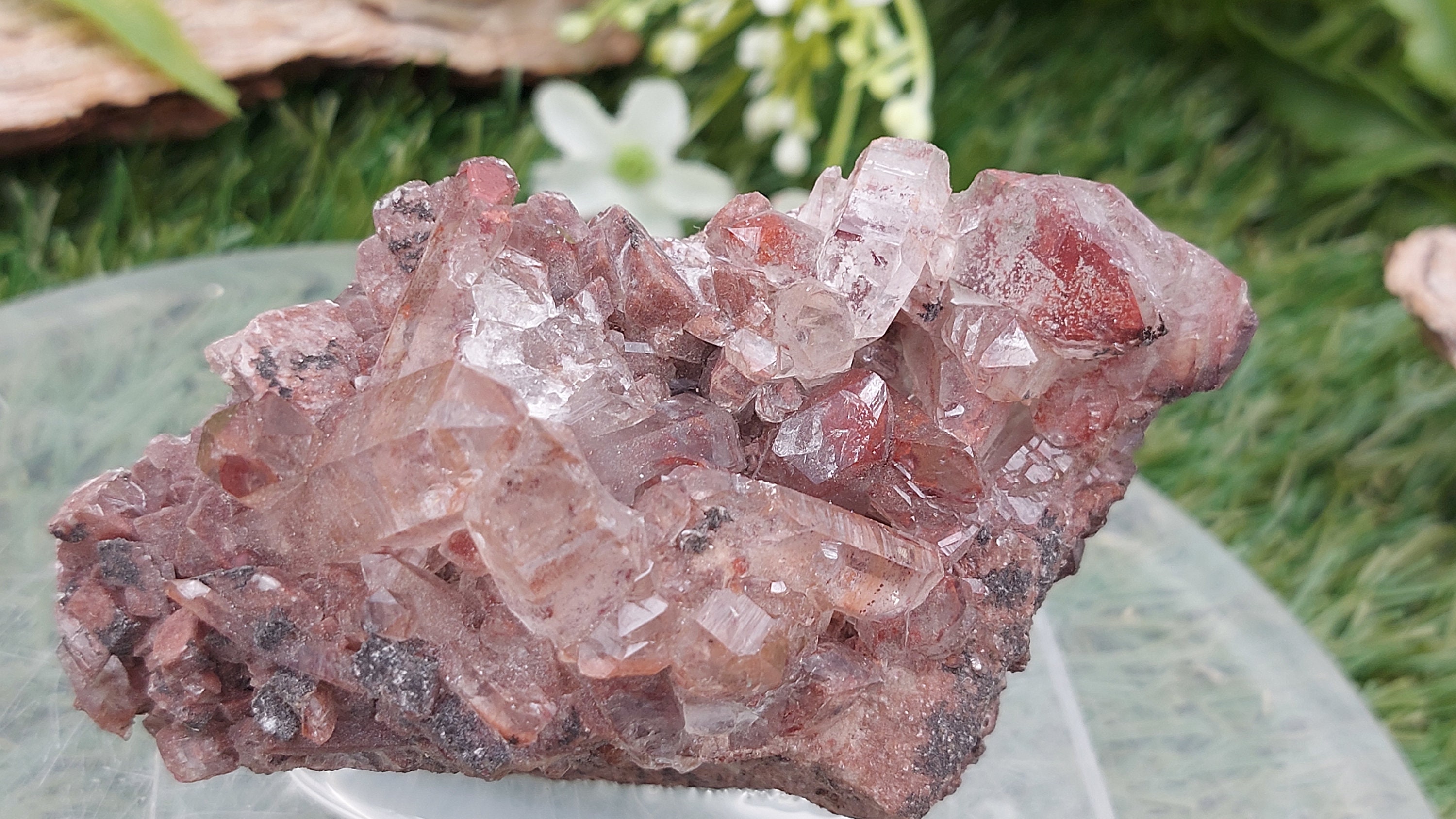 RARE Red Quartz Crystal with Hematite Oxidation –  Natural Mineral Specimen from Orange River, Namibia – Unique Home Decor & Collector’s Gem