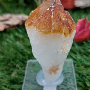 Natural Point Citrine - Extra Qualität - Rohstein Sammlungsstück