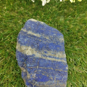 May include: A large, rough, blue lapis lazuli stone with gold pyrite inclusions. The stone is sitting on a bed of green grass.