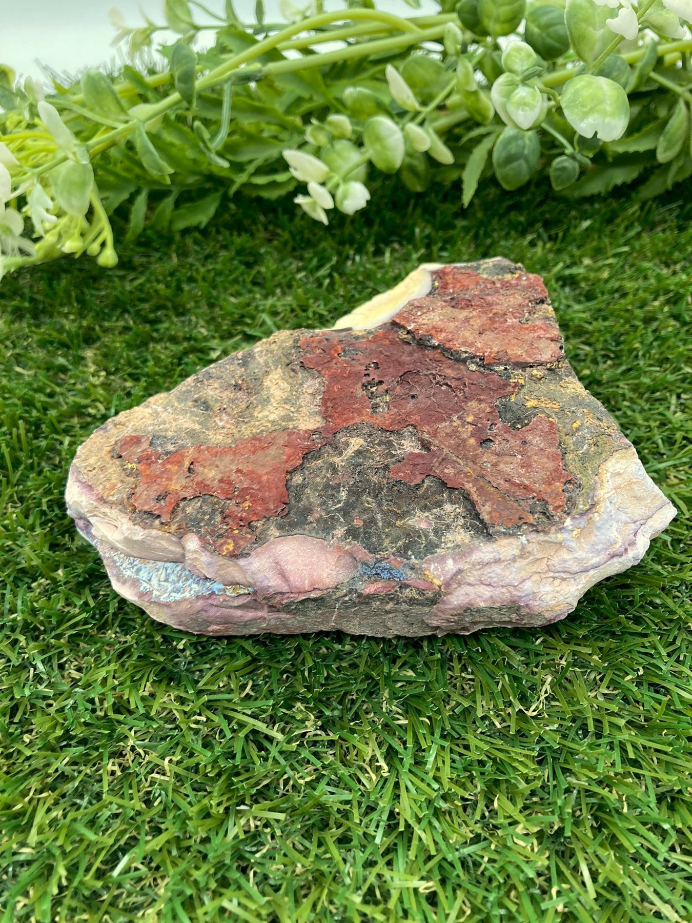 Raw Mookaite Jasper Specimen: Collector Display Stone - Etsy