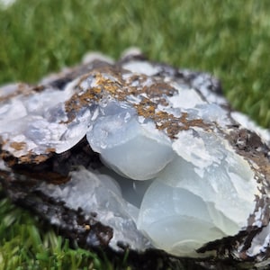 May include: A close-up of a geode with a light blue crystal formation inside. The geode's exterior is a mix of brown, gray, and gold tones. The background is blurred green grass.