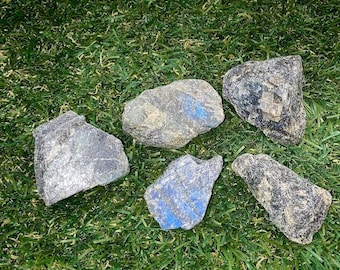 Puede incluir: Cinco piezas de labradorita sin pulir, una piedra gris oscura con destellos azules iridiscentes, están dispuestas sobre una superficie de césped artificial verde.